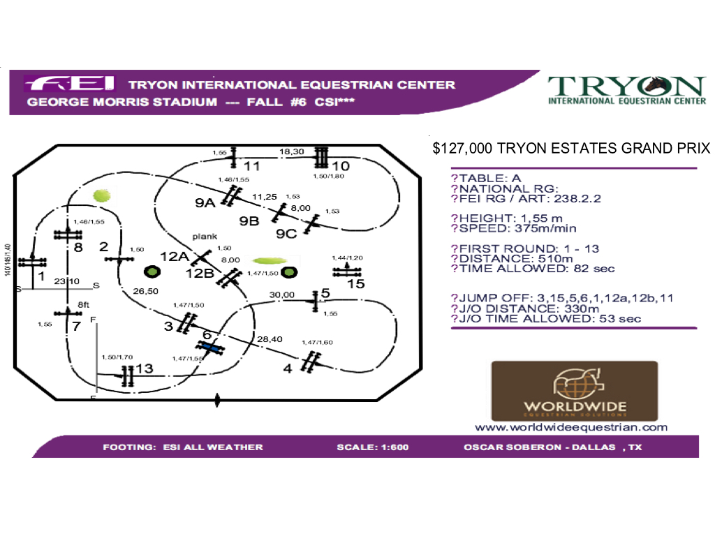 Tryon CSI3 $127,000 Tryon Estates Grand Prix – October 15, 2015
